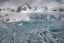 Spitsbergen_2025 (65/78)
